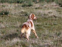IMG_8976 01   copia