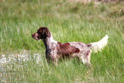 IMG_5652 01   copia
