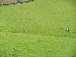 gallardo 2012 053